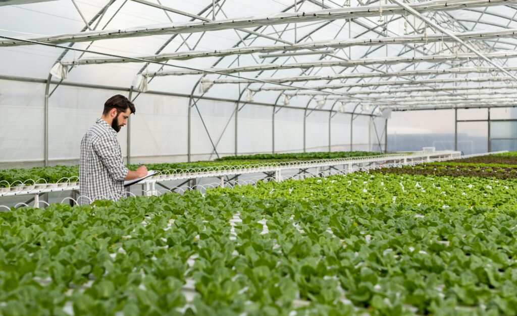 Gardener with clipboard inspecting plants